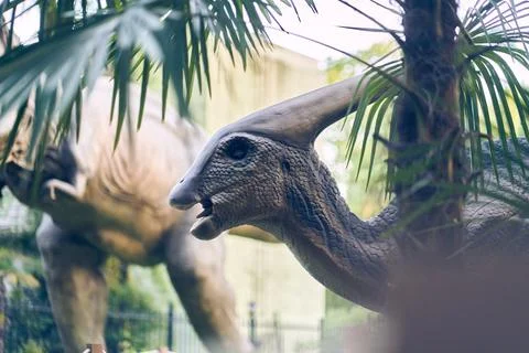 Selective focus on the dinosaur's head in close-up in the park. A giant Fotos de archivo