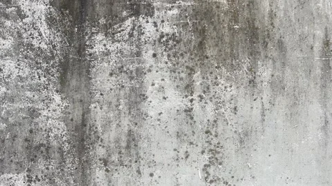 Selective focus distressed wall surface grunge texture background Stock Footage 334326922