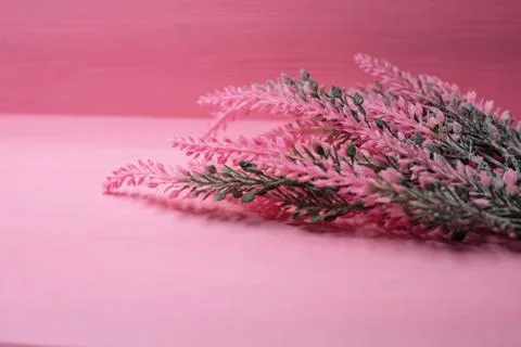 In selective focus of dried flower put at the right side,on pink pastel timbe Foto stock