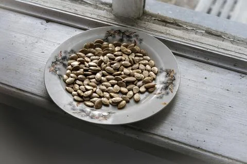 Selective focus on drying pumpkins seeds in plate on old window sill. Defocus Fotos de archivo