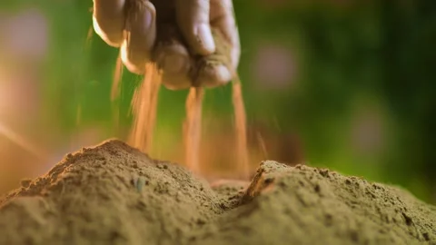 Selective focus on a farmer's hands as they gently plant a new crop in the Stock Footage 267060429