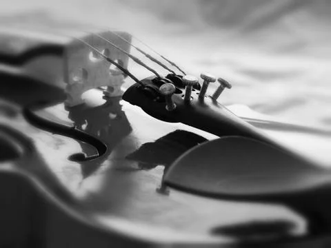 In selective focus of Fine Tuner on front side of violin,parts ot the classic Stock Photos