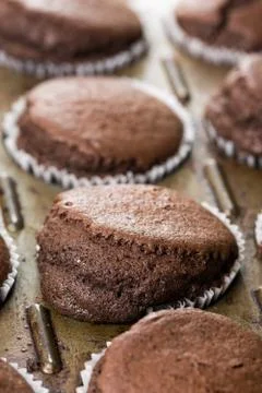 Selective focus on fresh baked chocolate cup cakes in the baking tray Stock Photos
