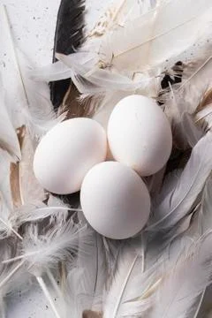 Selective focus, fresh chicken eggs Stock Photos