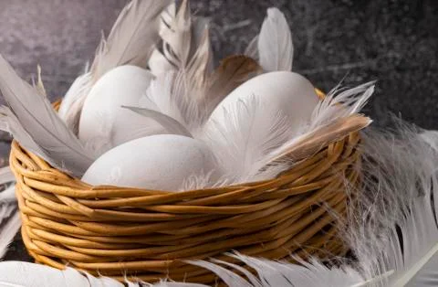 Selective focus, fresh chicken eggs Stock Photos