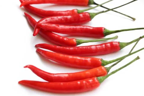 Selective focus at fresh chili red hot the vegetable from organic farm Foto stock