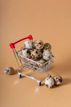 Selective focus. fresh quail eggs Stock Photos