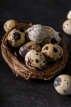 Selective focus. fresh quail eggs Stock Photos