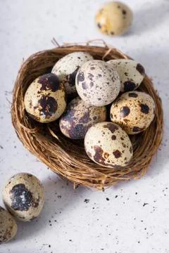 Selective focus. fresh quail eggs Stock Photos