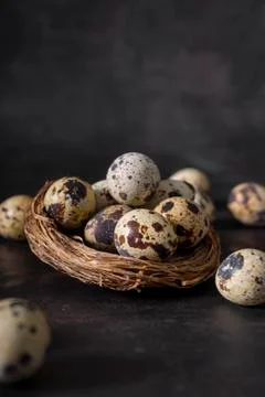 Selective focus. fresh quail eggs Foto stock