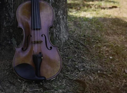 In selective focus of front side violin at the left side of ground floor Foto stock