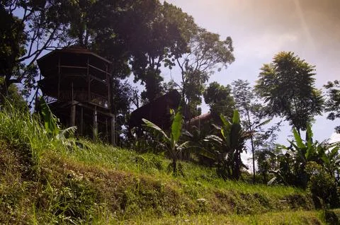 Selective focus of garden view with a nice gazebo. beautiful garden view. Foto stock