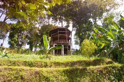 Selective focus of garden view with a nice gazebo. beautiful garden view. Foto stock