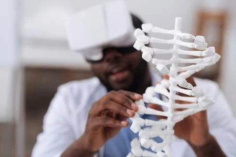 Selective focus of a gene model Stock Photos