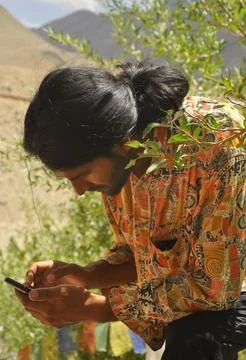 Selective focus of a good looking long haired young man using phone  Stock Photos