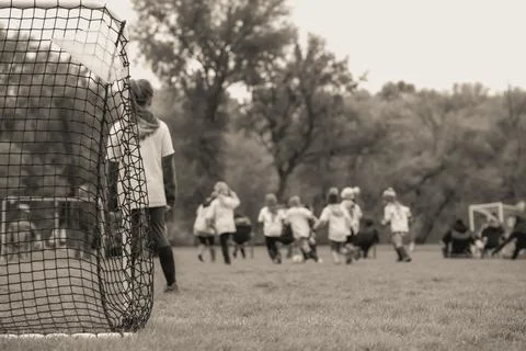 Selective focus on grass and back of goal net in a youth soccer match. Stock Photos