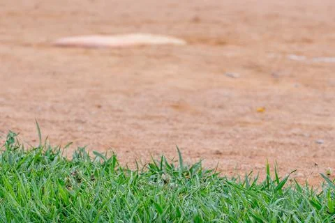 Selective focus on grass with blurred baseball field in the background Stock Photos