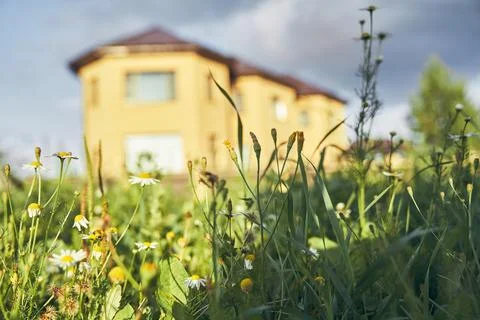 Selective focus on the grass in close-up, with a stone house with rounded Fotos de archivo