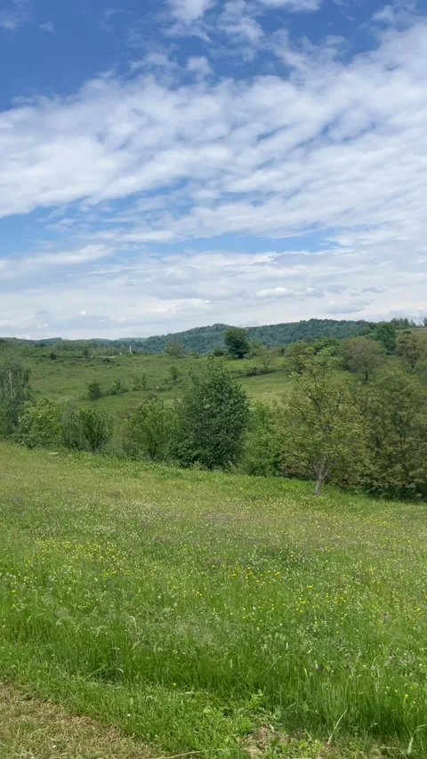 Selective focus green highland meadow in nature Stock Footage 335589792