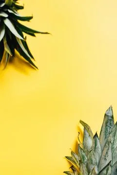 Selective focus green pineapple leaves Stock Photos