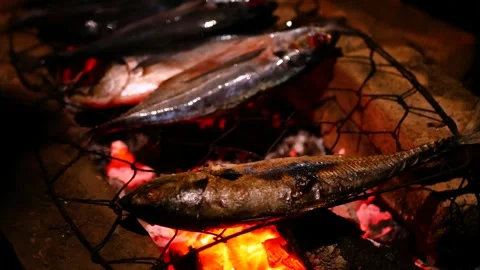 Selective focus of Grilling Cakalang fish or Skipjack tuna (Katsuwonus pela.. Stock Footage 281573178