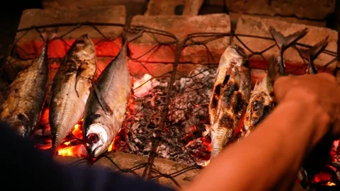 Selective focus of Grilling Cakalang fish or Skipjack tuna (Katsuwonus pela.. Stock Footage 281574398