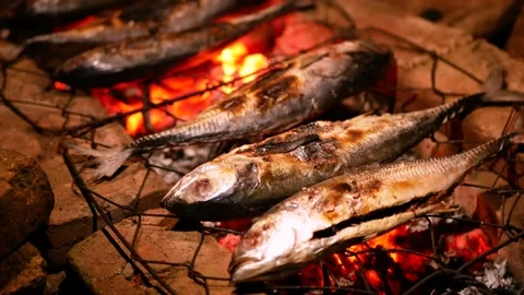 Selective focus of Grilling Cakalang fish or Skipjack tuna (Katsuwonus pela.. Stock Footage 281574435