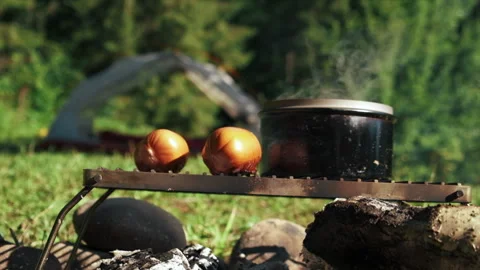 Selective focus of grilling sausages on beautiful bonfire at morning Stock Footage 247320769