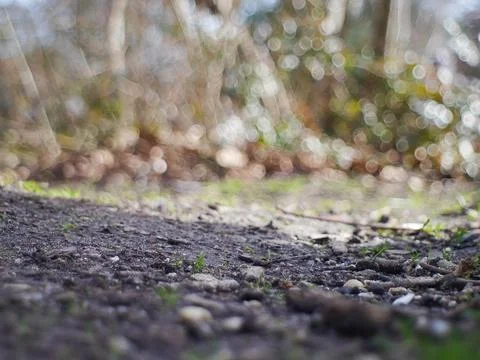 A selective focus of the ground covered in small rocks and tree shavings unde Foto stock