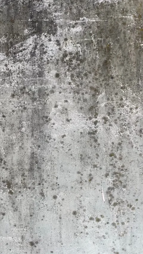 Selective focus grungy textured wall background close-up Stock Footage 334327065