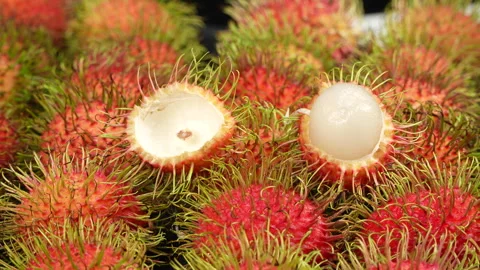 Selective Focus of Halved Peeled Rambutan Fruit on Rotating Background Stock Footage 336319019