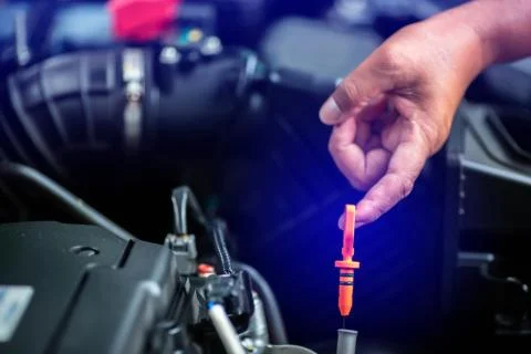 Selective focus to hand is checking the oil level in car engine. Stock Photos