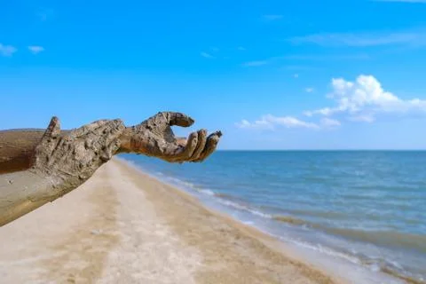 Selective focus on hands in curative mud on the background of the sea beach. Stock Photos