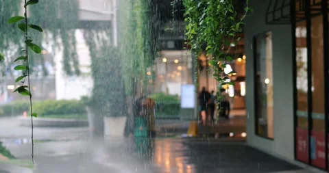 Selective focus on hanging leaves over diverse people walking down the street Stock Footage 219548317