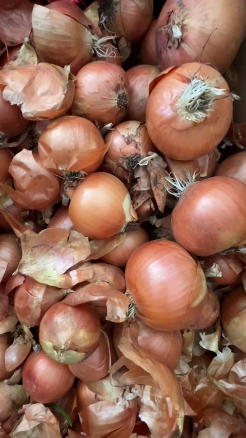 Selective focus heap of fresh onions close-up view Stockbeeldmateriaal 334327823
