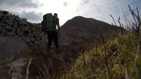 Selective focus hiker walking through thick mossy grass covered mountain Stock Footage 173404976