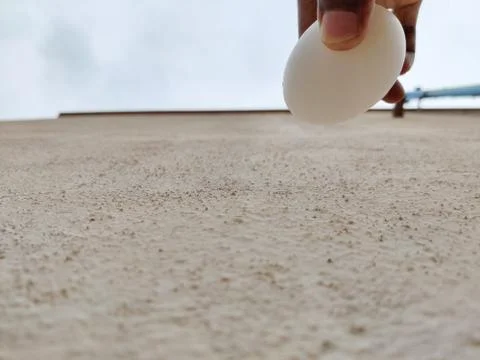 Selective focus of human fingers going to drop white egg Stock Photos