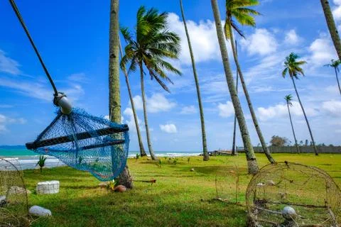 Selective focus image of hammock under coconut tree near the beach with blue  Stock Photos