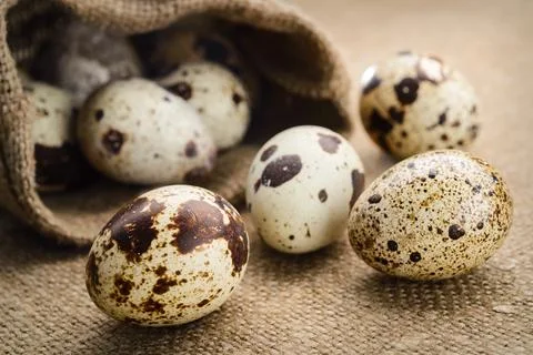 Selective focus image of a quail eggs on fabric background Stock Photos