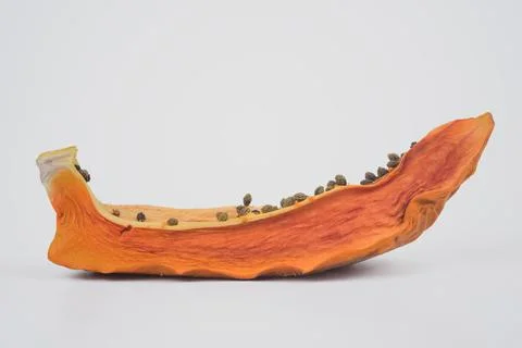 Selective focus image of rotten papaya isolated in white background. Agricult Stock Photos