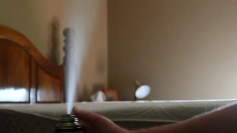 Selective focus on insect insecticide aerosol can fogger used to kill bed bugs Stock Footage 159174482