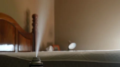 Selective focus on insect insecticide aerosol can fogger used to kill bed bugs Stock Footage 160116451