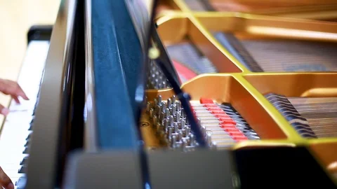 Selective focus to inside a grand piano with hands. Stock Footage 110436360