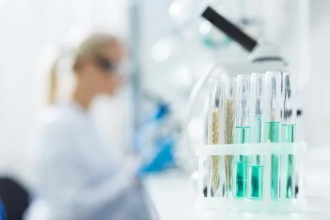 Selective focus of laboratory samples Stock Photos