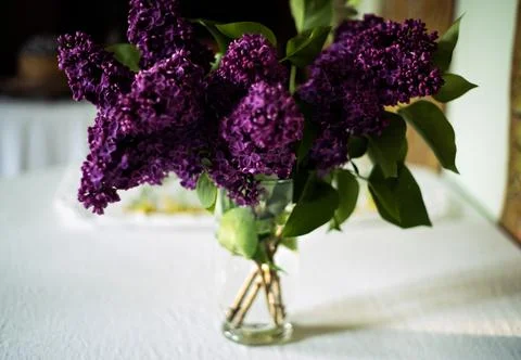 Selective focus on lilac twigs on the table. Close up Stock Photos