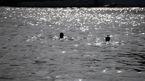 Selective focus. Married couple of retirement age are enjoying a swim Stock Footage 162223961