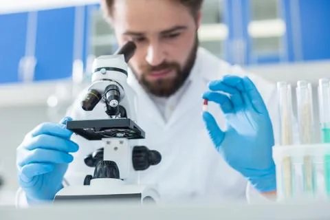 Selective focus of microscope used for biological research Stock-Fotos