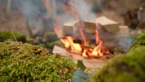 Selective focus of moss-covered stones and bonfire in early spring forest Stock Footage 303371992