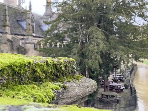Selective focus on a moss covering stone, cafe terrace with picnic tables on  Stock Photos