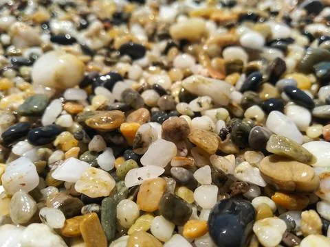 Selective focus multi-colored pebbles on the seashore. Sea stones. Stock Photos